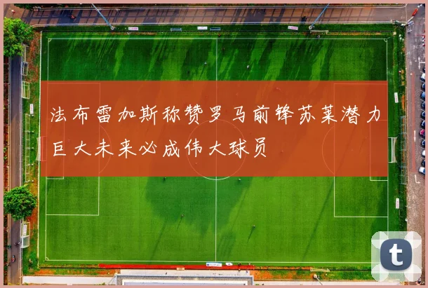 法布雷加斯称赞罗马前锋苏莱潜力巨大未来必成伟大球员