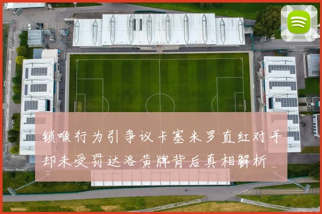 锁喉行为引争议卡塞米罗直红对手却未受罚达洛黄牌背后真相解析
