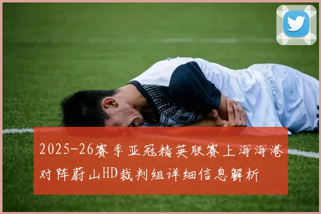 2025-26赛季亚冠精英联赛上海海港对阵蔚山HD裁判组详细信息解析