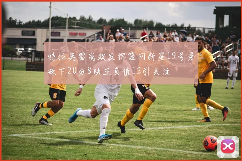 特拉奥雷高效发挥篮网新星19号秀砍下20分8助正负值12引关注